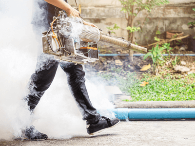 About Pure Controls - Rat Control experts in Northbridge